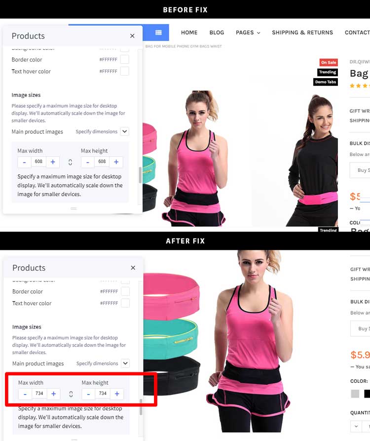 Fix product image carousel in version 4.2